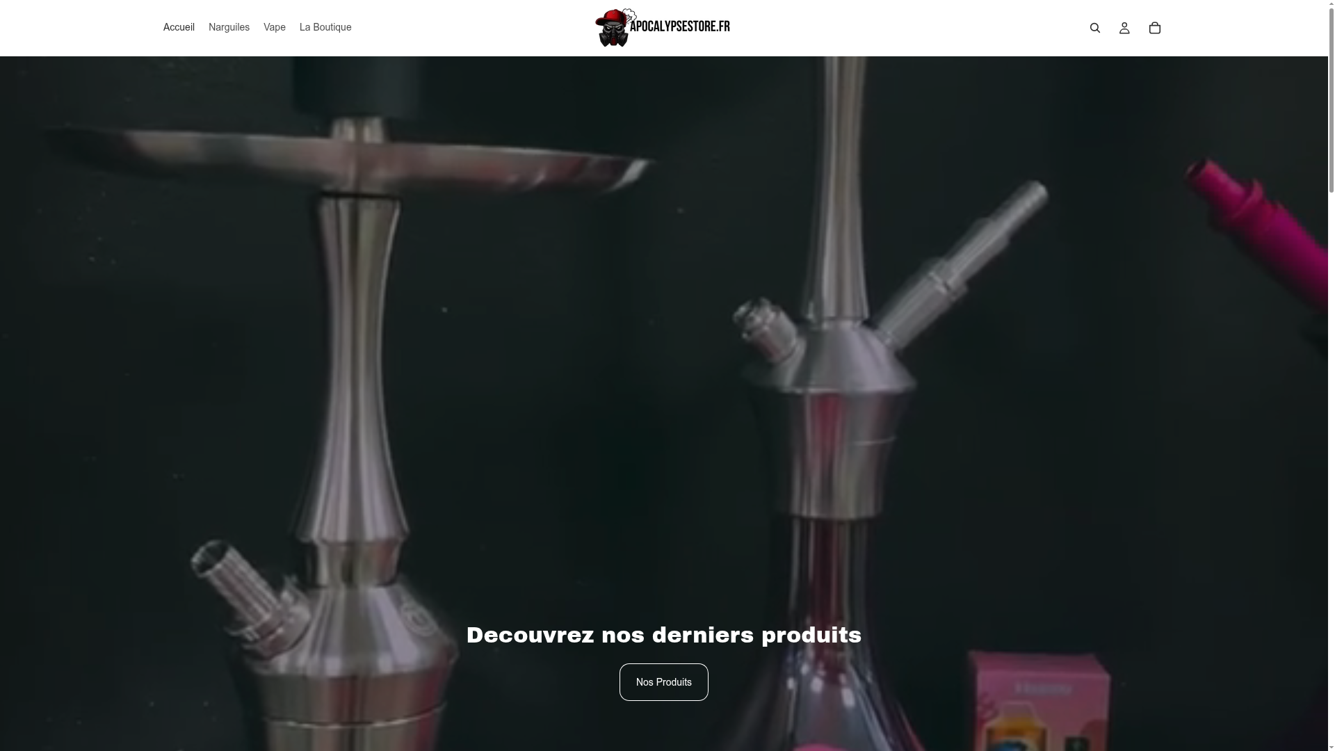 Capture du site Apocalypse Store 95