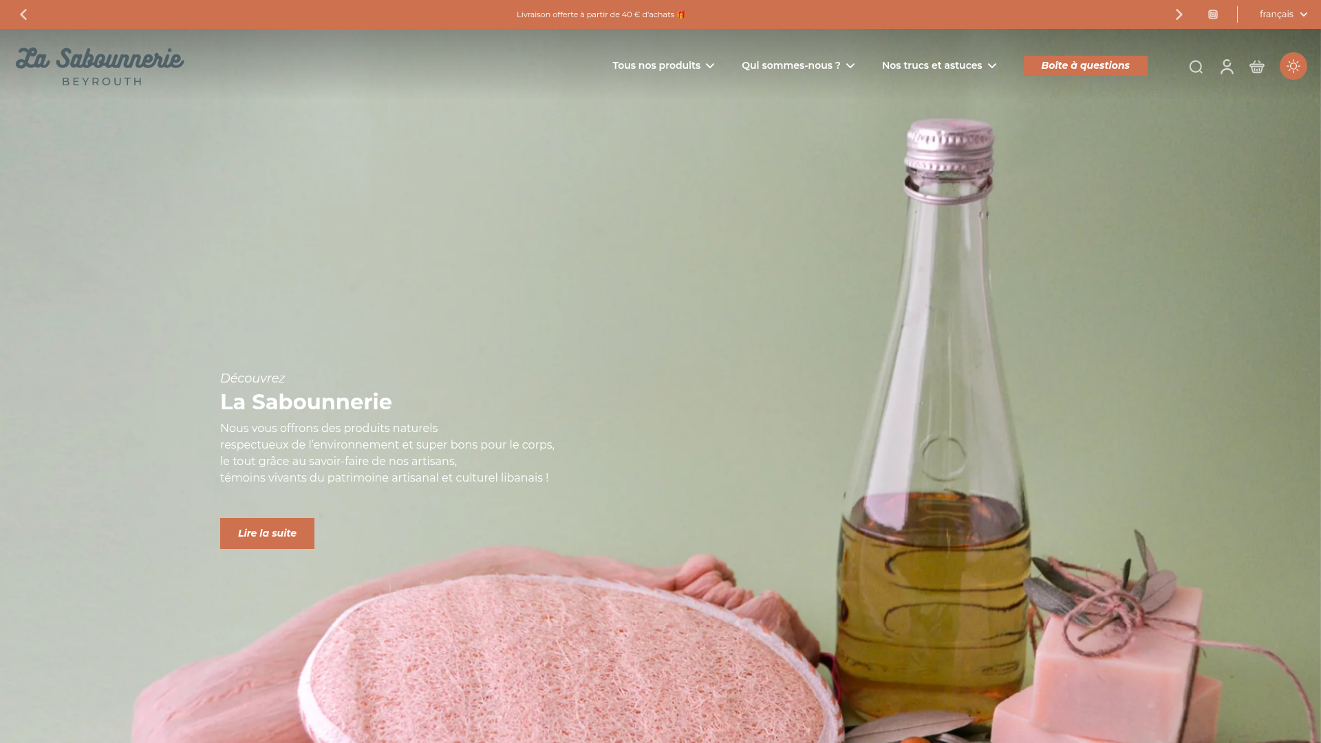 Capture du site La Sabounnerie